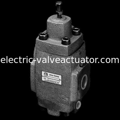 अच्छी कीमत HG.HT.H प्रकार पारा -06-ए -4 दबाव नियंत्रण वाल्व वाल्व धागा कनेक्शन releif ऑनलाइन