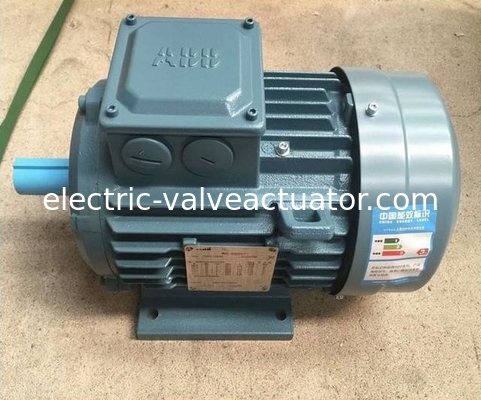 अच्छी कीमत एम2बीए सीरीज 380V IP55 NEMA फ्लैंग फुट माउंट 3 फेज एसी इलेक्ट्रिक मोटर ऑनलाइन