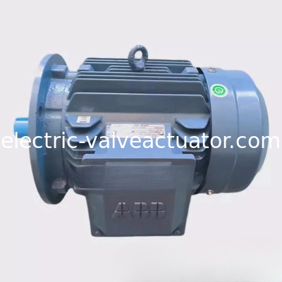 अच्छी कीमत M2QA200LB6 22KW 6-पोल थ्री-फेज असिंक्रोनस मोटर IC411 स्व-कूलिंग ऑनलाइन