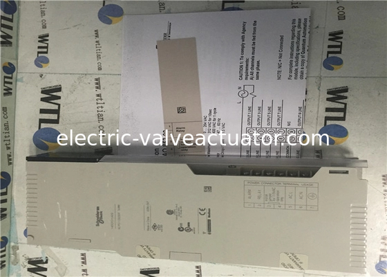 अच्छी कीमत Schneider Electric Programable Logic Controller 140CPS11420 Power Supply Module ऑनलाइन