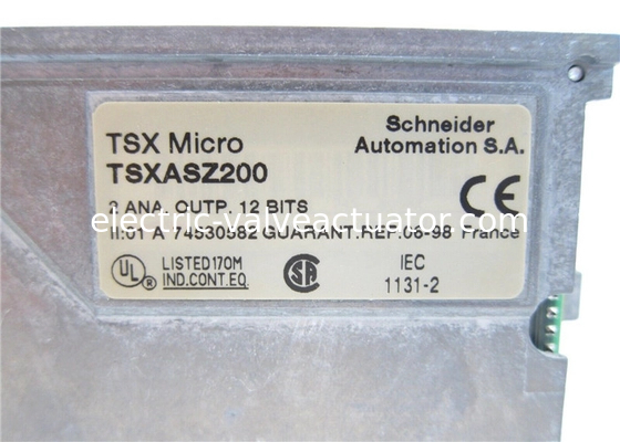 अच्छी कीमत श्नाइडर इलेक्ट्रिक TSXASZ200 TSX माइक्रो 2 एनालॉग आउटपुट +- 10 V 0-20 4-20 mA ऑनलाइन